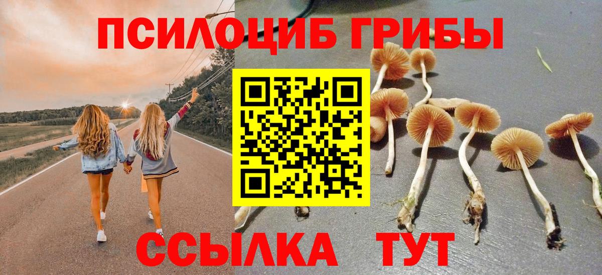 Псилоцибиновые грибы GOLDEN TEACHER  Галлюциногенные грибы GOLDEN TEACHER  Вход с VPN  Звенигород 