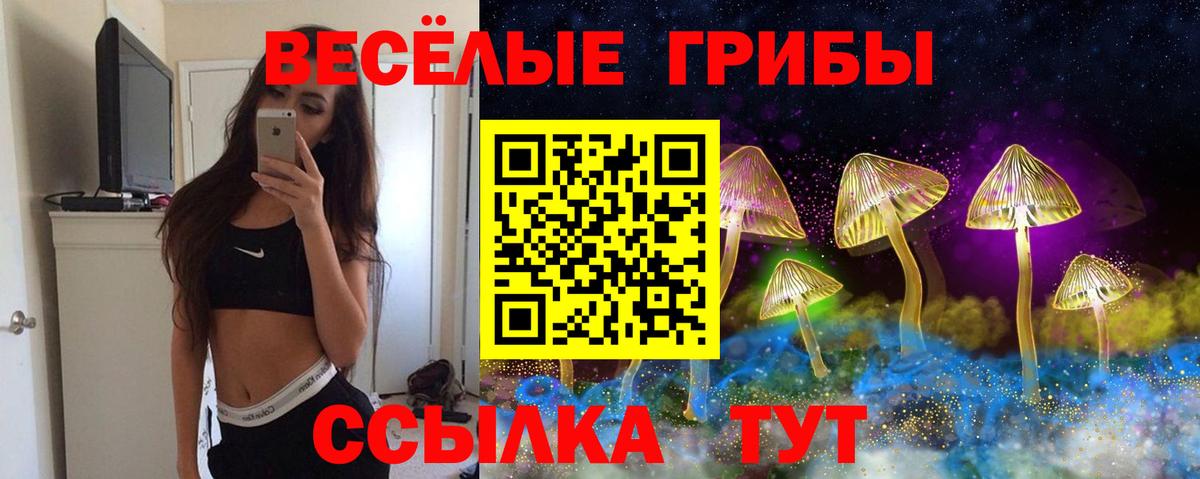 Псилоцибиновые грибы ЛСД Звенигород